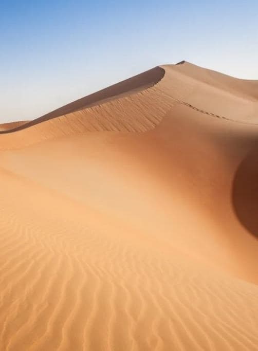 Cholistan Desert Safari