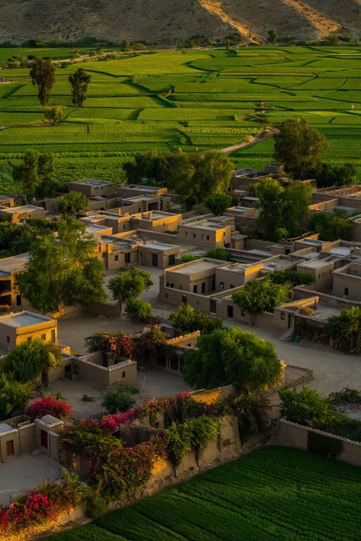 Discovering the Richness of Village Life in Pakistan: A Journey into Tradition