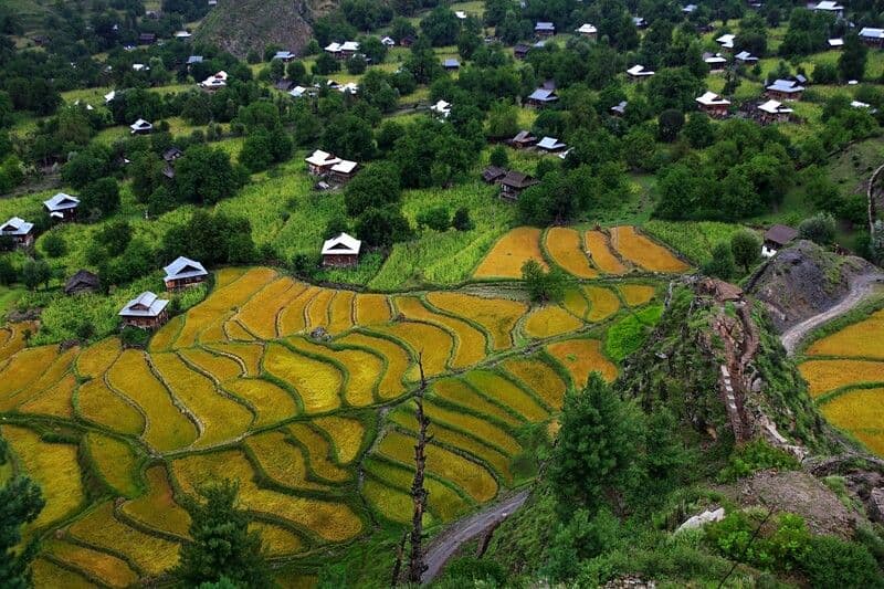 Discover the Breathtaking Beauty of Leepa Valley Azad Kashmir