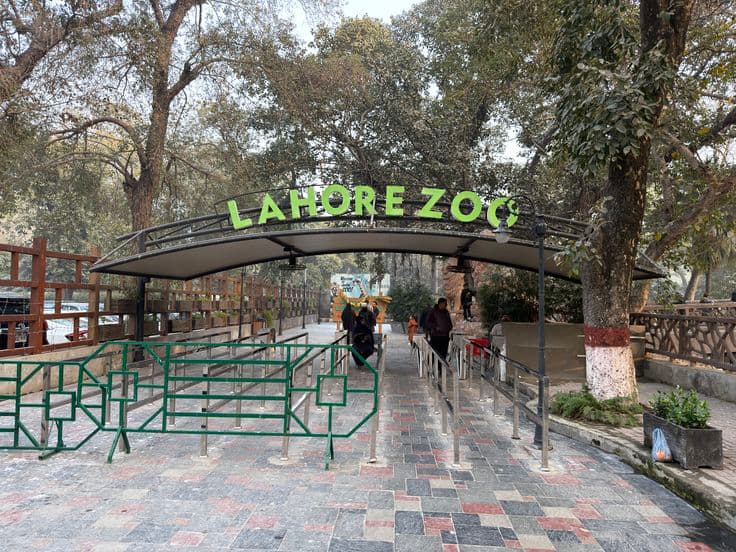 Lahore Zoo Activities Timings Ticket Price And More