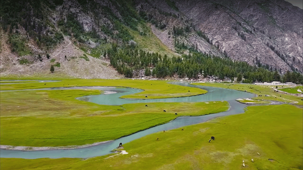 Discovering Allah Wali Lake: A Hidden Gem in Astore Valley, Gilgit Baltistan