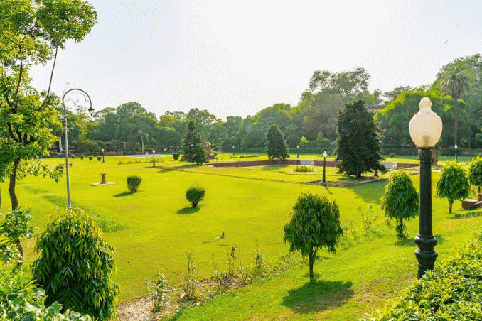 Top 10 Best Parks In Rawalpindi You Can Visit This Weekend